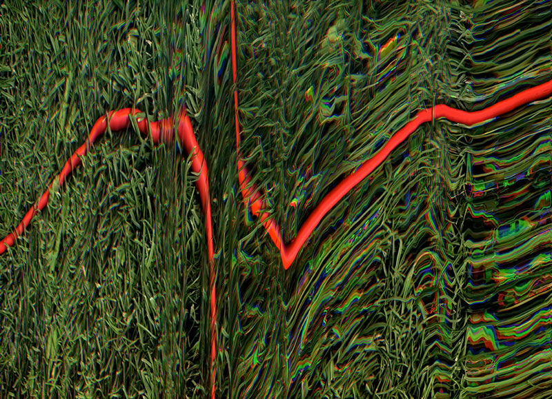 “Green Gras - Red Cables“, 120x80cm
